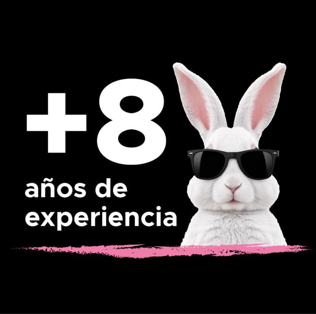 Numeros 1